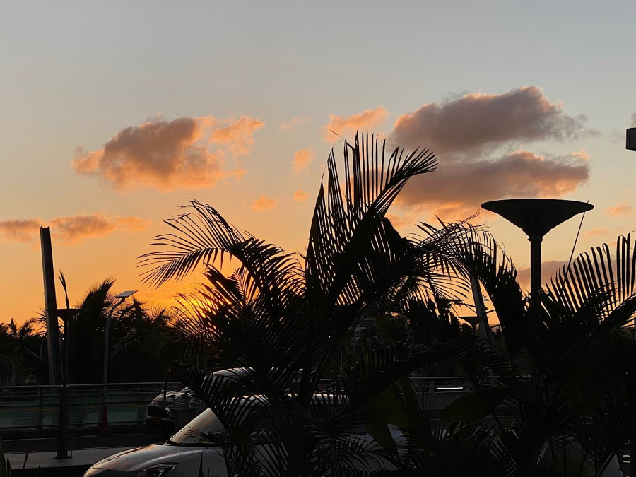 Danke Mauritius