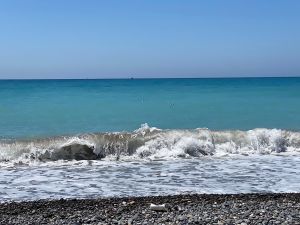 0AA96A21-CE06-4506-A71D-E665BCEECE5C