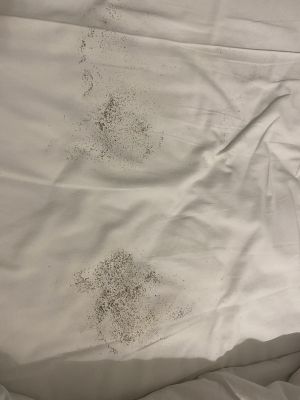 1F5B30F6-EC1E-4A4D-B4D8-E977C5BEE040