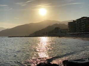 2B2AEE7B-4AA7-4012-B6BC-B52DC44A06D0 4 5005 c