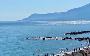 2E3D81E9-4B80-45C3-AFD8-BD6760E0B0E0