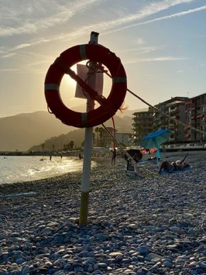 30B8DBC3-CC27-4747-B010-61BA7CA708EB 4 5005 c