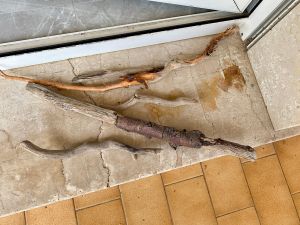 35FA24BC-C0A5-4195-A2AA-A7322BE0840C