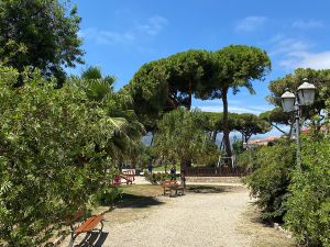 42877097-A142-4C7D-BA41-D427C65BD9FA