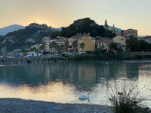 43524B33-2B27-405C-A795-15D0BE143339