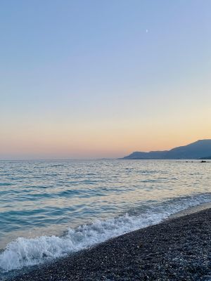 491F69FF-C141-4EFF-AA61-BEBDF81982DE