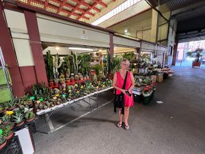 4B7A35EA-9F8F-4C97-8CF0-41B5D53D39F1