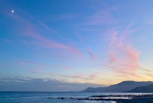 51501827-9C89-410D-BFBA-117BF2C80CF5