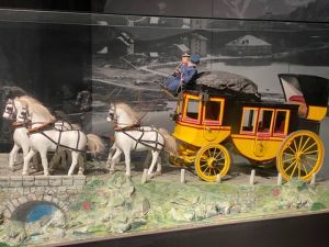 51B97F03-C384-42D5-A7E8-8B9C8CE69B36 4 5005 c