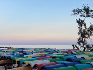 588FACBC-0CC2-4F99-AB1E-3693418D366C