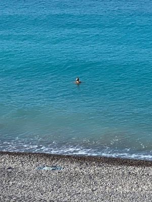 6176CCA3-F7E9-45C0-B4CE-393CC34660D4 4 5005 c