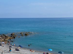 627CCC51-7866-44DA-AFA1-EA529176DED6