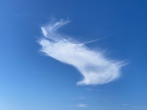 649B62DA-FCDD-4B57-9954-C73F45AE943B