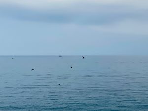 74380C2C-CD9E-4467-8C91-FD9DC2F0E0D9