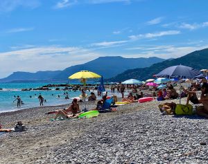 779DE9A9-AE93-43E6-9EB5-464D13FA001C