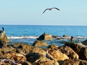 7999E8B2-8F13-453F-A9ED-7B12BAD630EA 4 5005 c