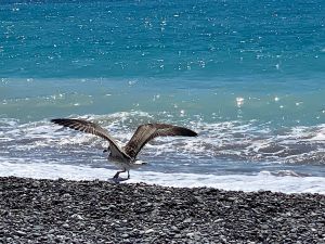 7A582537-5CF8-4D7A-A4AE-4E22206DB85F