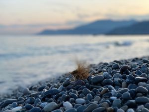 846483C0-2257-4D85-B3DF-3BA3436B177C