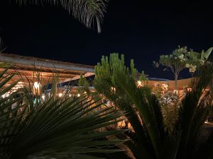 8548C16B-937E-4100-BCB2-6FFD3B64AFE5