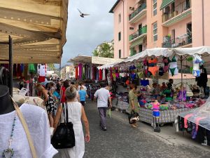 8C42C9BD-D964-4F88-A481-87B1613C0EC5