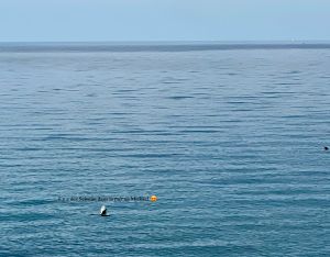 A5D0FE10-C3BE-4DAA-B480-5C1C86355A03