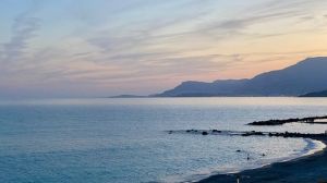 A6E7C71F-81E1-4C1E-AF1C-8200791CEA79 4 5005 c