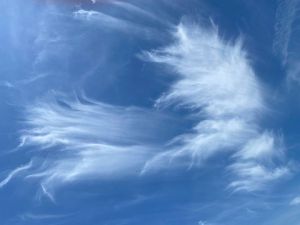 ABD9300D-B861-41DB-8756-9AF18A6002C4 4 5005 c