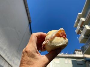 ACDD293D-28E4-434D-B107-1E7AF1F93766 4 5005 c