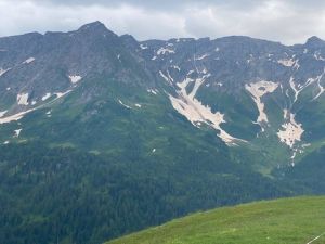 AFB3E685-86DA-4324-83E2-AC67322237BB 4 5005 c