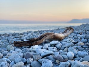 B0F8B01D-44C1-42B3-A9B4-A2A6F05CBD24