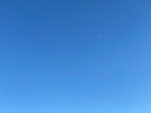 B24B2F23-A72B-4340-BA69-406D47E1D839