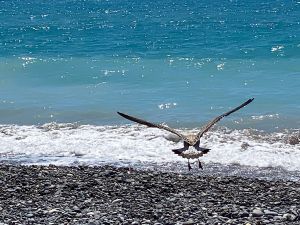 B4183F1F-7170-4614-B8DD-DAB829D360FE