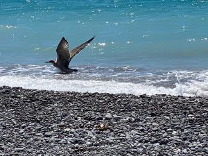 CC3C11CD-F485-4585-B751-B5B9F9D01A45