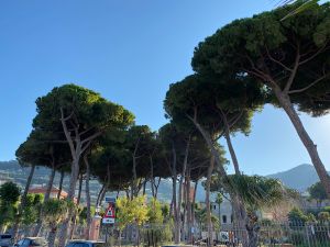 CC5526C2-E620-4A1B-B827-39743B0C4B02