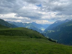 CE41AA2A-3268-4DFE-9931-8DCC15F9D59D 4 5005 c