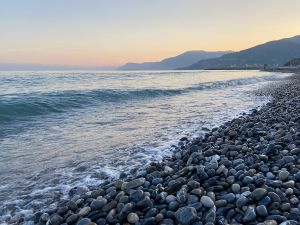 D1C42BA5-61A0-4D29-9EF7-D01862FD0538