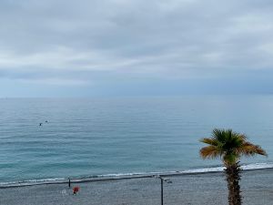 D8AFDAF6-4F7E-499B-9D8D-CC8B93763281