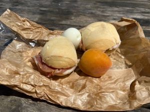 DE0EDF8D-3D1E-4A92-AE2A-095D9CF4B8C4 4 5005 c