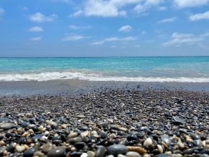 E0EDDD3B-B0B1-404D-81E7-01E73CF9689D