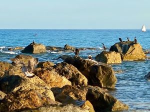 E581FF04-33CD-4C79-88B5-E9F49FC19E9D 4 5005 c