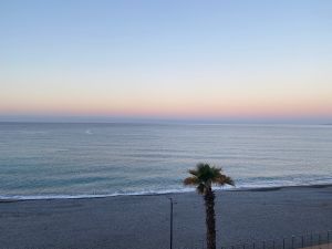 E6A732E4-1FE7-4FCF-B6A6-7CA765AEA8D3