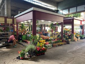 E924F699-CE61-486C-88CB-B513D4E84EDA