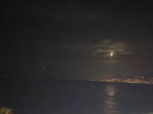 F150D4A4-52F1-47EC-90FF-726BAF18C6D8 4 5005 c