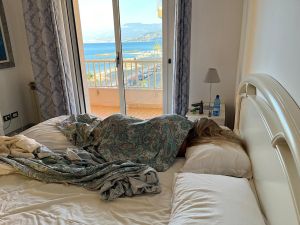 F8615082-7845-4EC9-AA17-52D14B64FF05