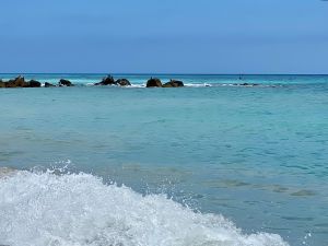 FAC58522-3389-4E95-957D-756A0483E3CC