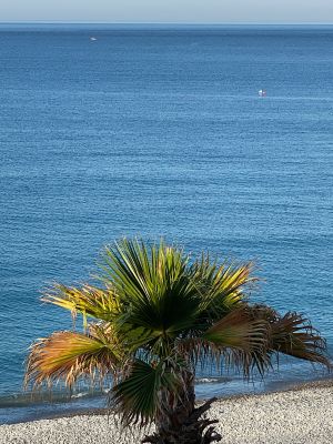 FC5D59FB-311D-42C6-B4F5-B7BE05521F44