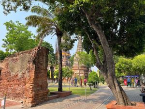 IMG 2025-03-24-195920631