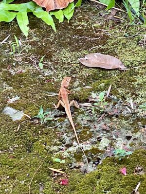 IMG 2026-03-25-200059531