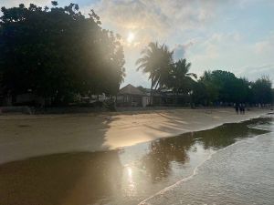 IMG 2026-03-26-194229322