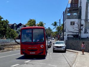 IMG 4874